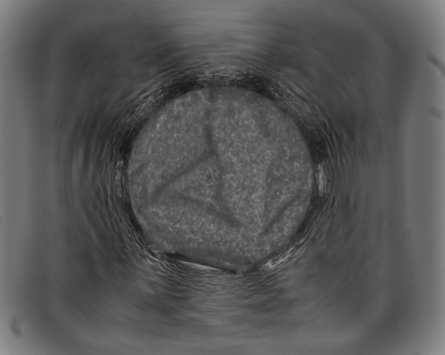 X0000097781059200804041209