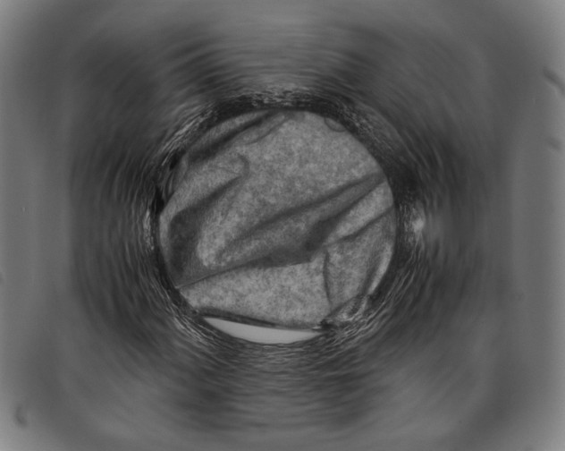 X0000097781060200804041209