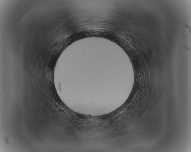 X0000097781061200804041209