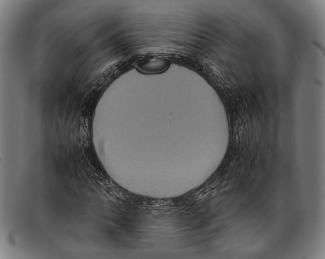 X0000097781062200804041209