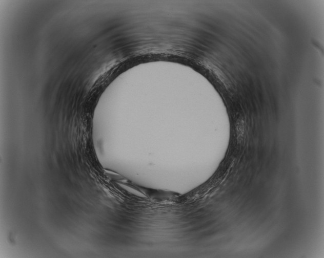 X0000097781064200804041209