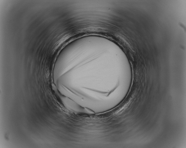 X0000097781065200804041209