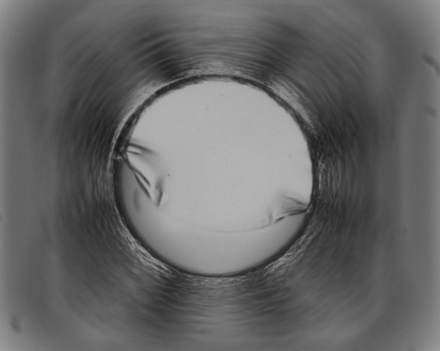 X0000097781068200804041209