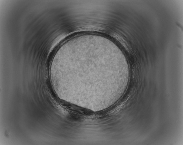 X0000097781069200804041209