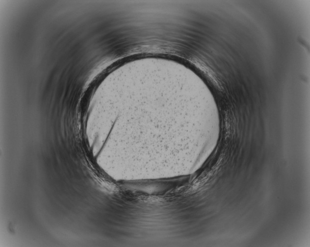 X0000097781070200804041209