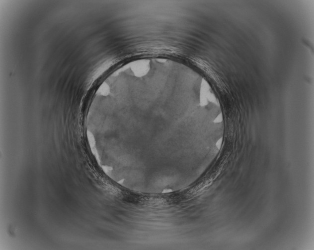 X0000097781071200804041209