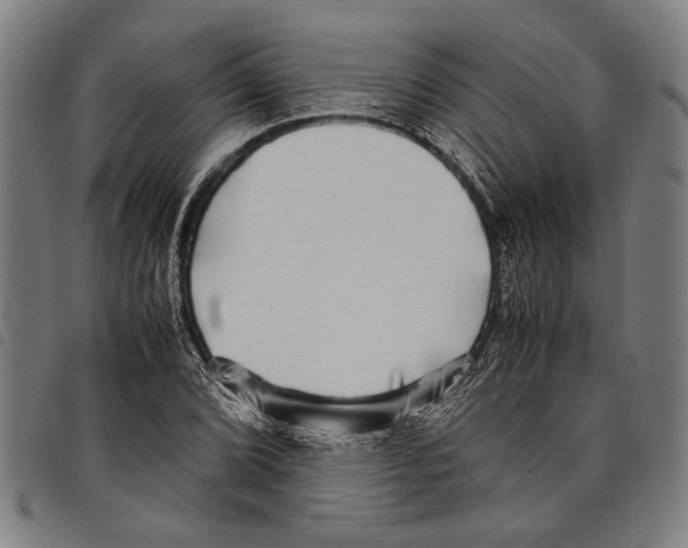 X0000097781072200804041209