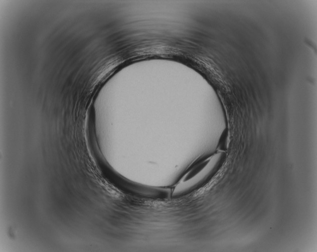 X0000097781073200804041209