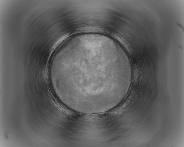 X0000097781074200804041209