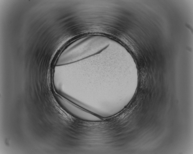 X0000097781076200804041209