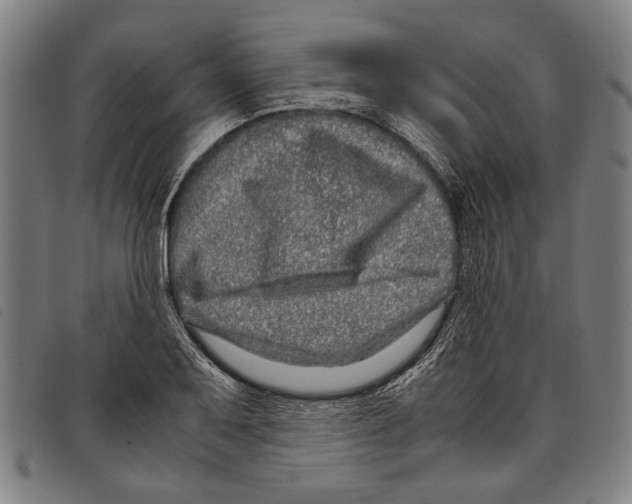 X0000097781079200804041209