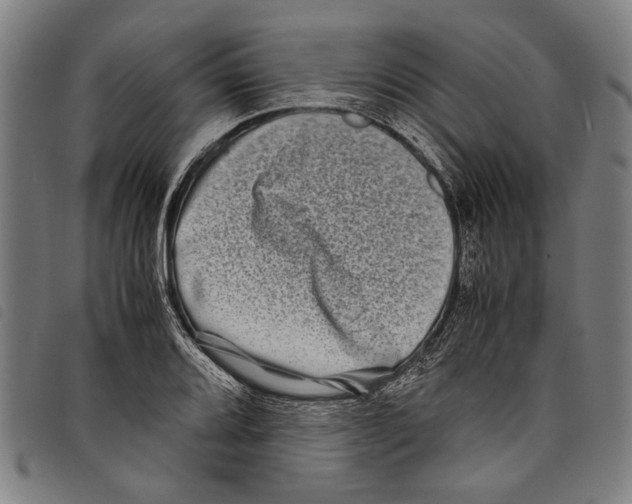 X0000097781080200804041209