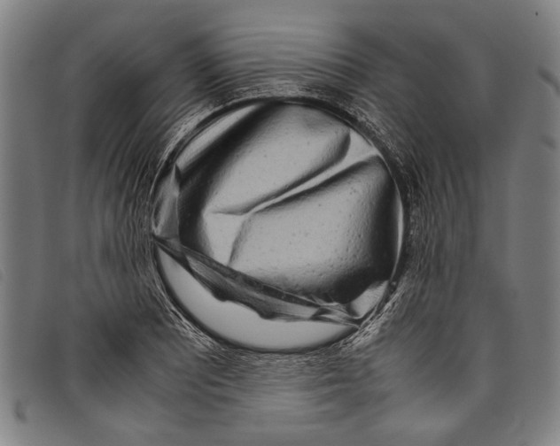 X0000097781081200804041209