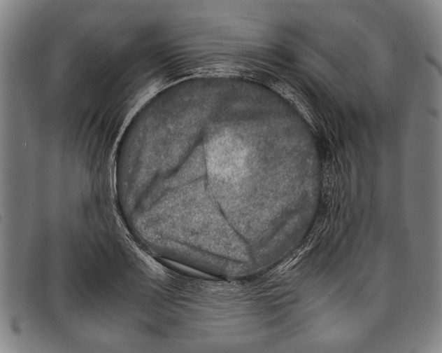 X0000097781083200804041209