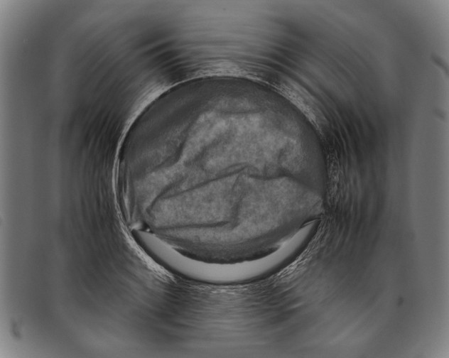 X0000097781084200804041209