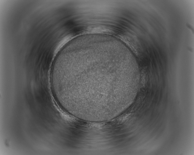 X0000097781086200804041209