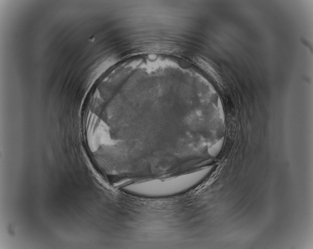 X0000097781087200804041209