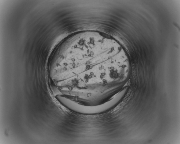 X0000097781088200804041209