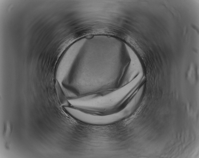 X0000097781089200804041209