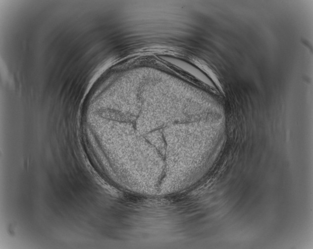 X0000097781091200804041209