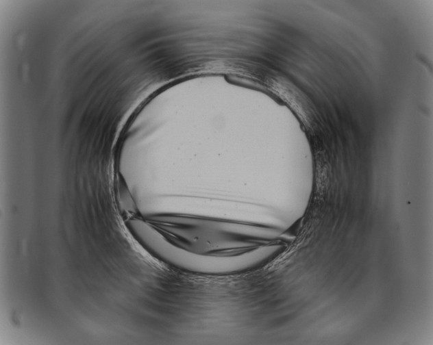 X0000097781092200804041209