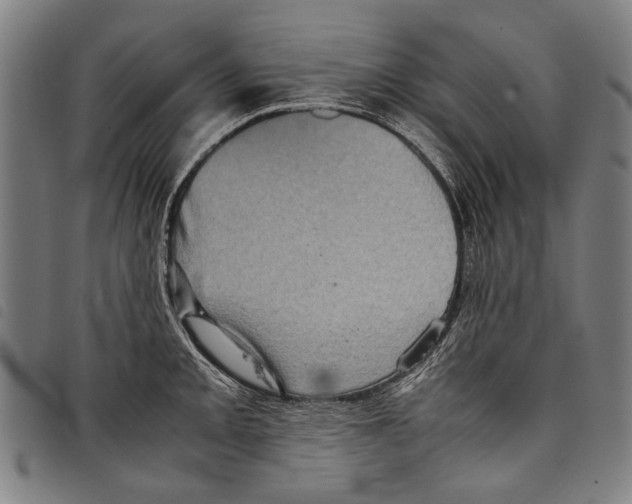 X0000097781093200804041209