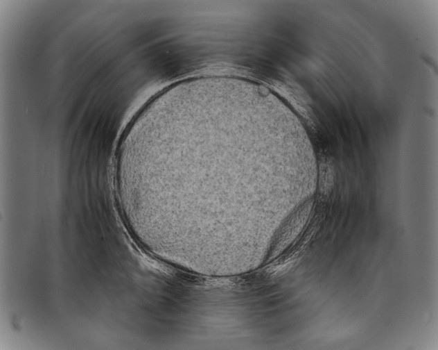 X0000097781094200804041209