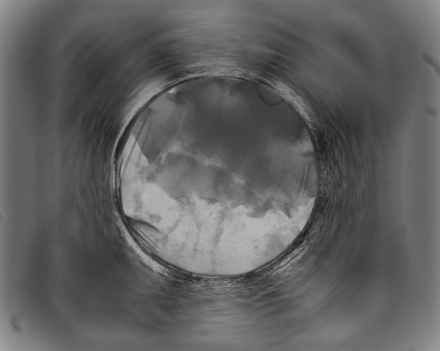 X0000097781095200804041209