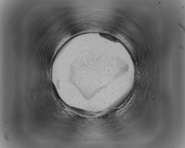 X0000097781097200804041209