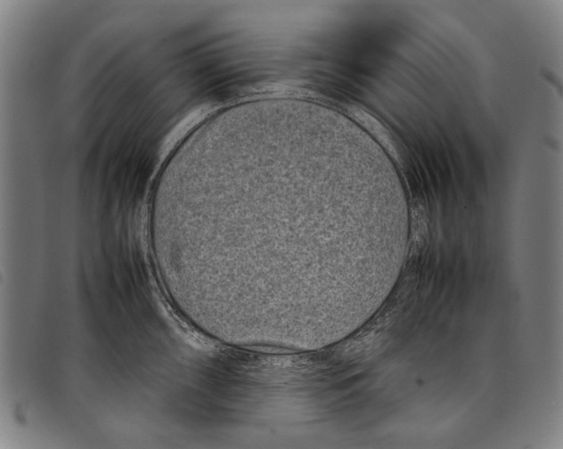 X0000097781098200804041209