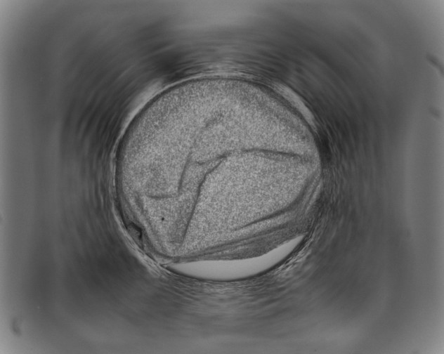 X0000097781099200804041209