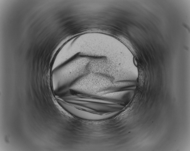 X0000097781100200804041208