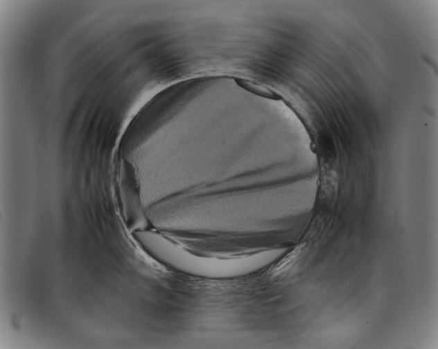 X0000097781102200804041208