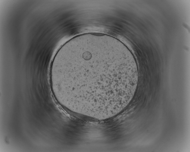 X0000097781104200804041208