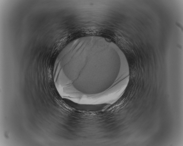 X0000097781106200804041208