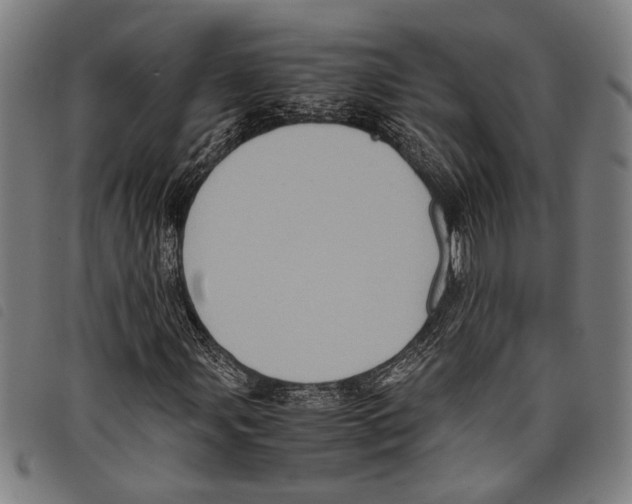 X0000097781107200804041208