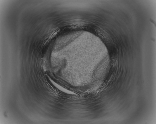 X0000097781108200804041208