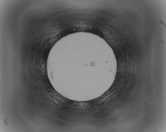 X0000097781109200804041208