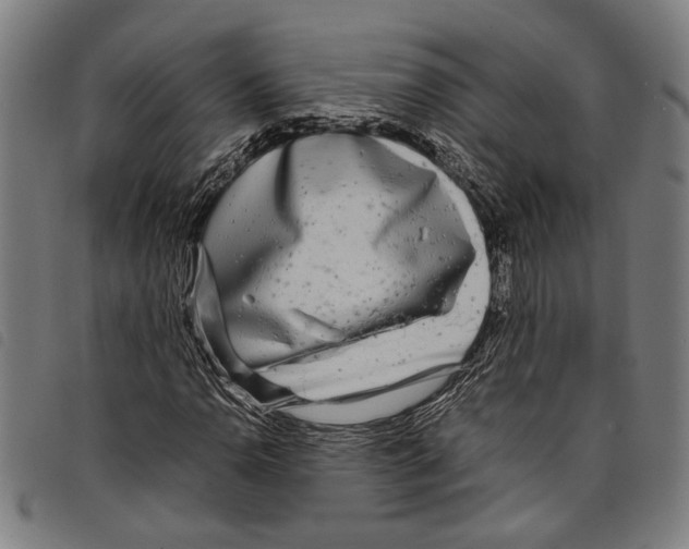 X0000097781110200804041208