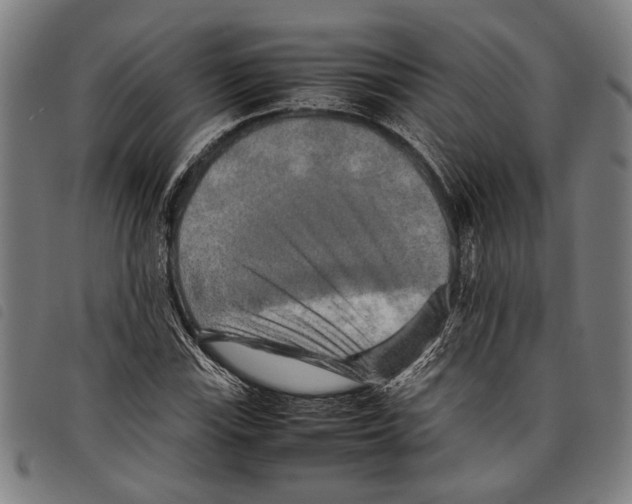 X0000097781115200804041208