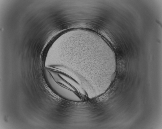 X0000097781116200804041208