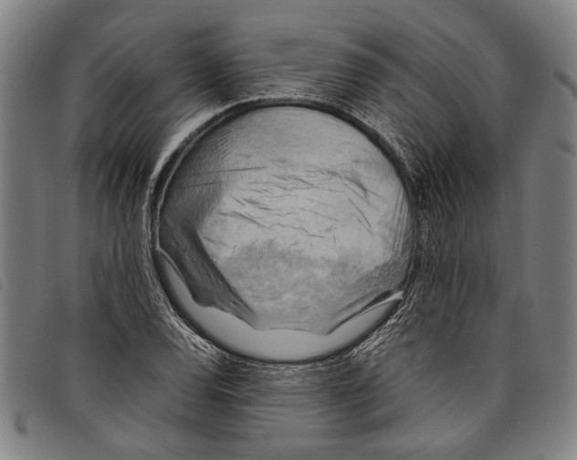 X0000097781120200804041208