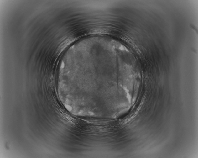 X0000097781121200804041208