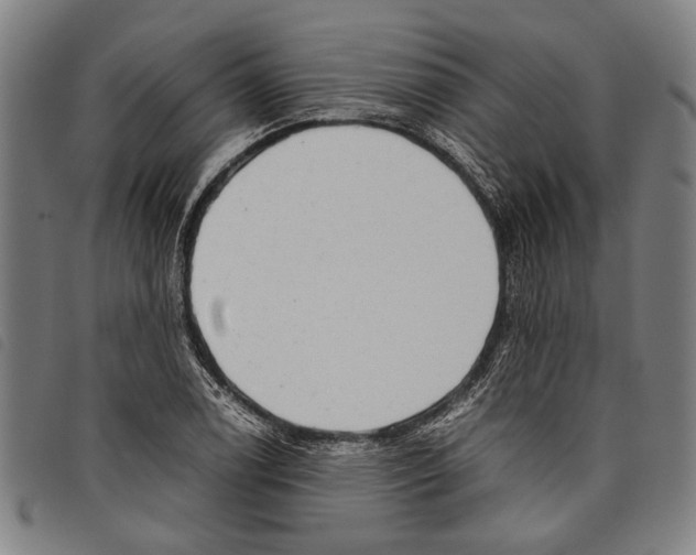 X0000097781122200804041208