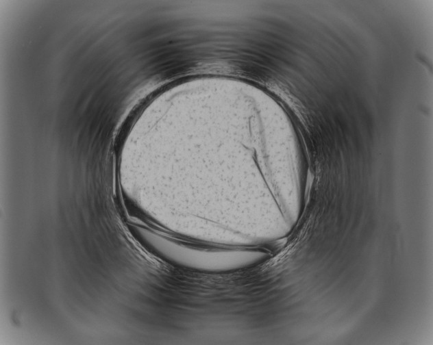 X0000097781123200804041208