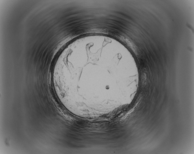 X0000097781125200804041208