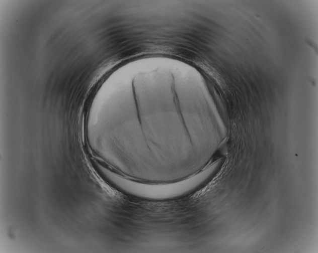 X0000097781127200804041208