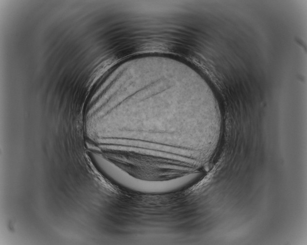 X0000097781129200804041208