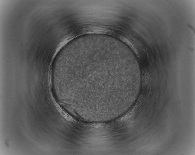 X0000097781130200804041208