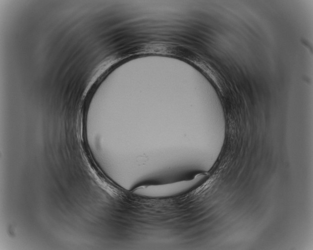 X0000097781131200804041208